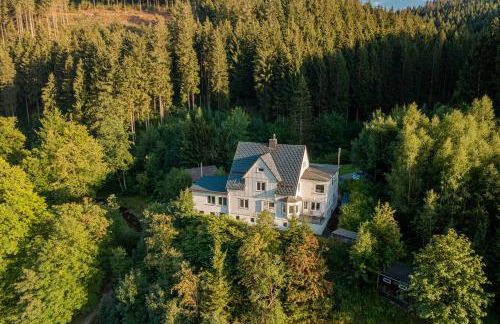 Villa Hoheneck - Foto 1