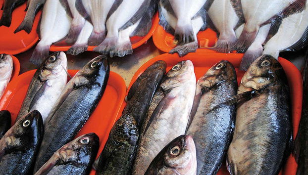 Poissons du marché
