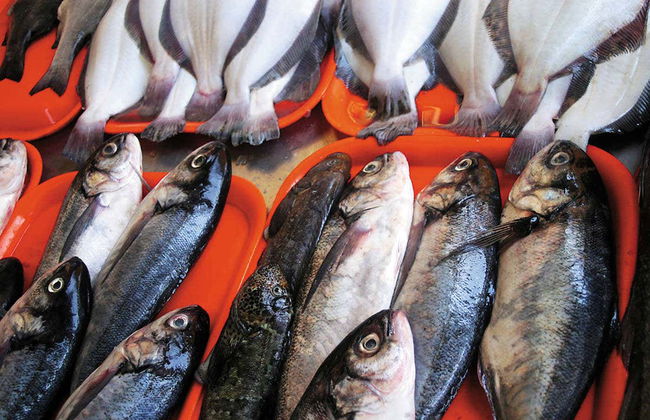 Ceviche, Pisco Sour & Causa + Local Market Tour - Foto 3