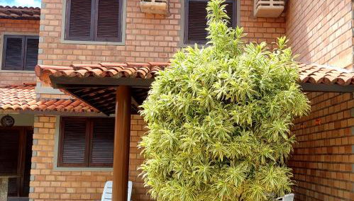 Chalé das Conchas - Foto 2