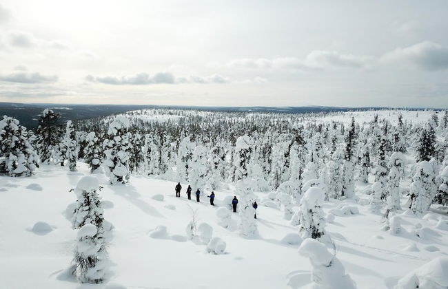 Ounasvaara Lakituvat chalets - Foto 27