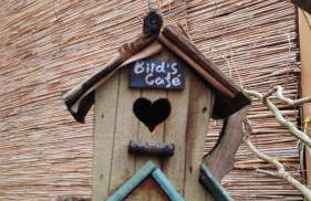 FeWo bei Tati - Bungalow - Foto 28