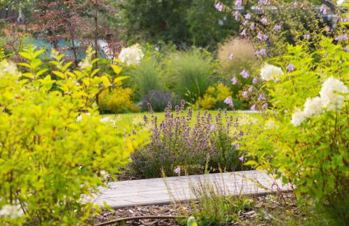 Ferienhaus Neukalen - ideal für aktive Familien - Foto 50