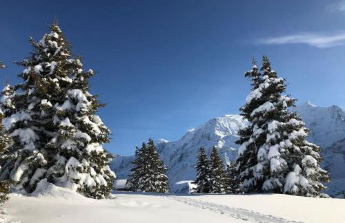 Mountain Cabin - vue montagne - 4 personnes - Foto 22
