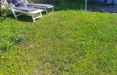 Am Dorfweiher - Foto 19