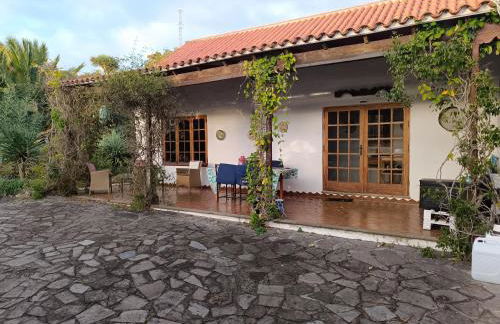 AAA Bandama Lago - Foto 5