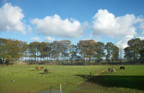 Domaine du Château de Briquedalles - Foto 43