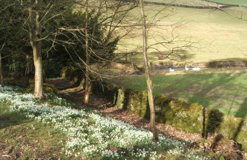 Willowherb and Foxglove Cottages Hawick - Photo 22