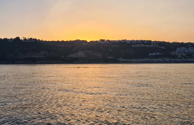 Avistamiento de delfines en Sotogrande - Foto 5