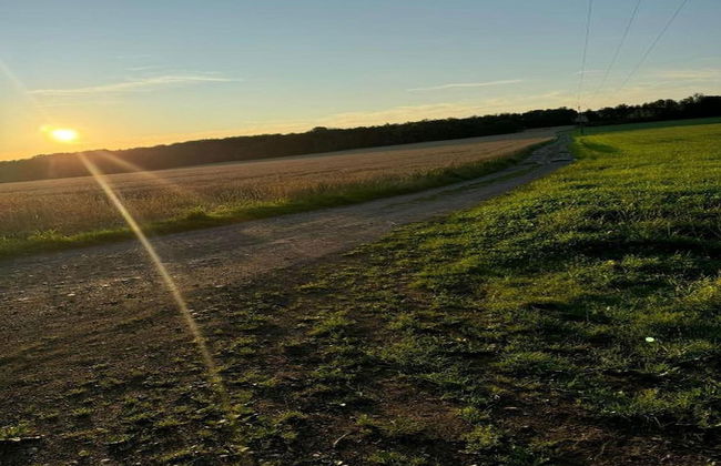 Completely Renovated House near Durbuy - Foto 37