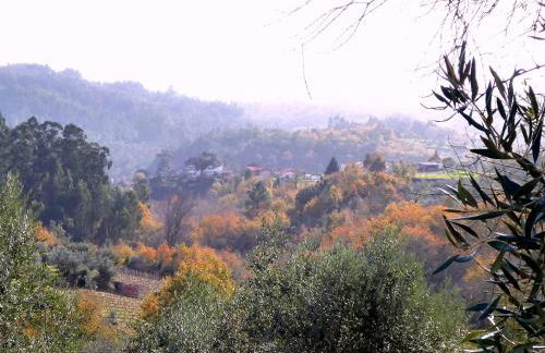 Casa da Casimira - Foto 40