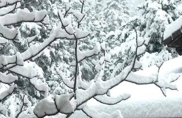 Pinecone Lodge, Eptalofos Wellness Garden Chalet - Foto 71