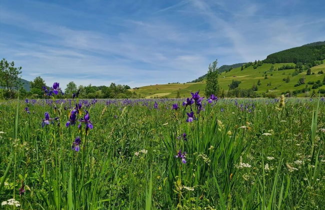Apartments Christiane - Foto 10