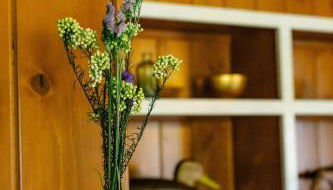 The Meadow- off Taconite Trail - Foto 4