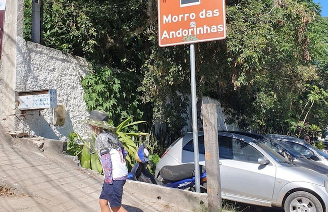 Andorinhas - Foto 58