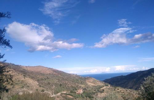 L'Uliveto - Foto 115