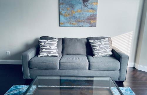 St Louis 2BD 2BA, Forest park, BJ Hospital, Science Center, eats - Foto 22