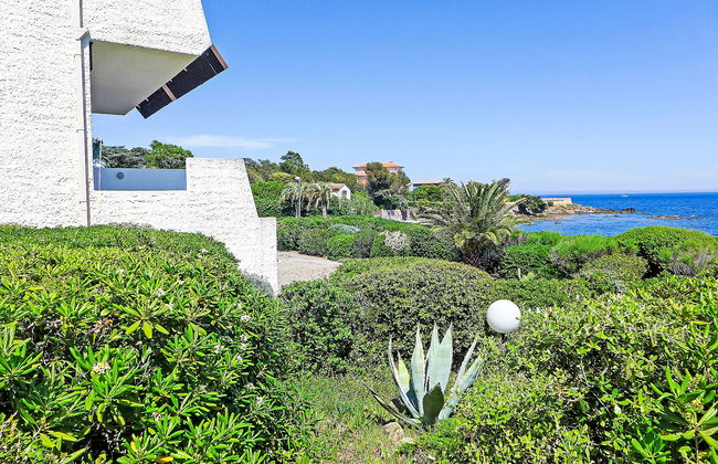 Les Corailleurs - Foto 21