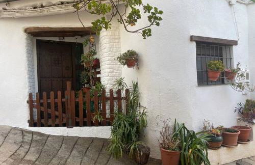 La Cuadra de Anita - Foto 13