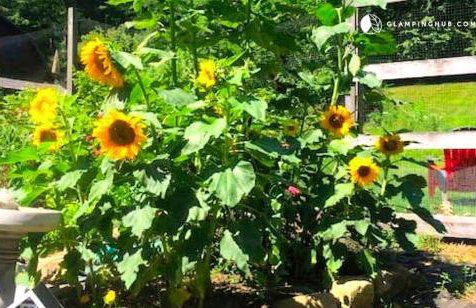 Peaceful Getaway above a Beautiful Yoga Studio near Devil's Den Nature Preserve, Connecticut - Foto 20