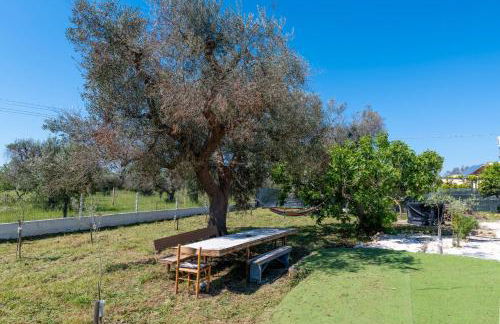 Il Canto della Cicala - Foto 30