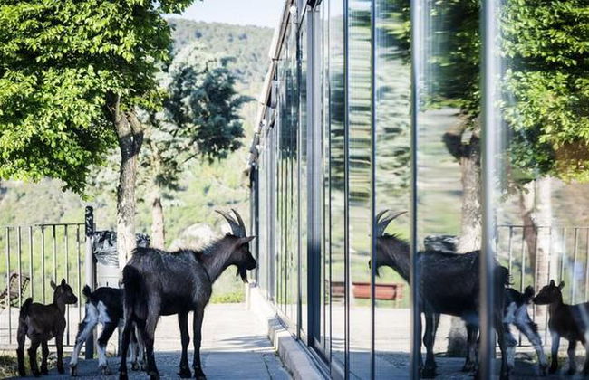 Camping & Bungalows Ligüerre de Cinca - Foto 1