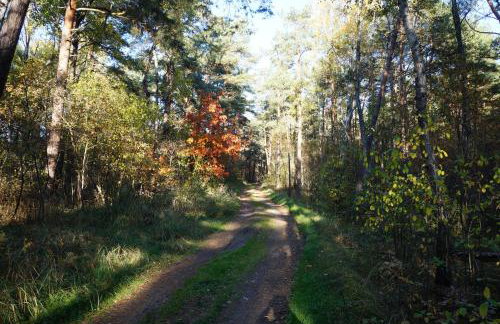 Four Winds - Foto 52