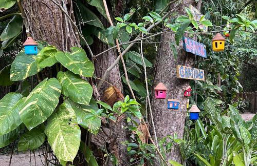 Cumuru pé na areia - Photo 5