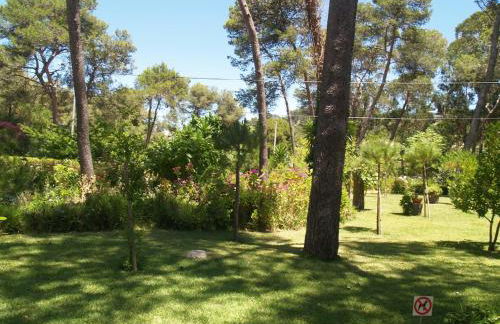 Exclusive beachfront house - Foto 23