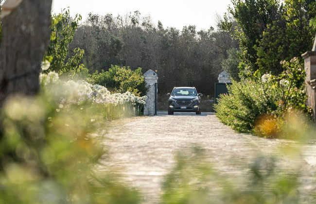 Panacea Residence - Foto 19