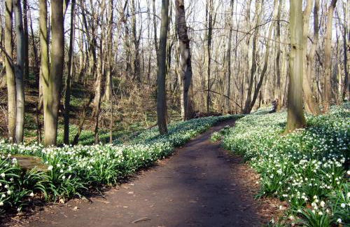Wohnen im alten Kornspeicher - Foto 42