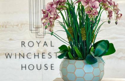 Urban Heaven with free parking - Photo 18