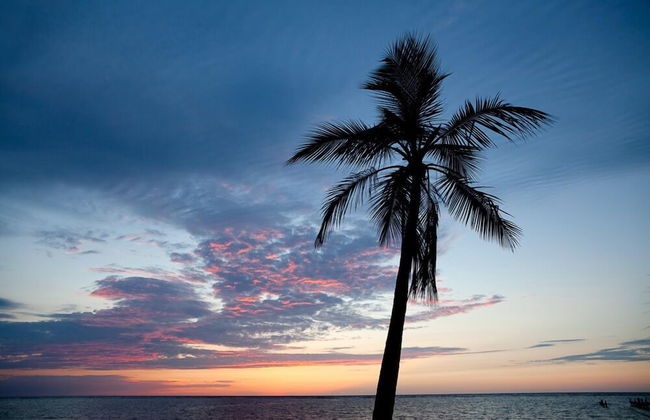 Pristine Bay Beach Villa 104 - Photo 29