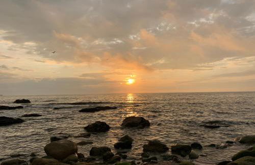 Leça Front Beach Luxury Penthouse - Photo 55