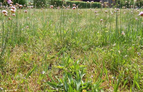 LANDHAUS LAAVE FERIENWOHNUNG - Foto 21