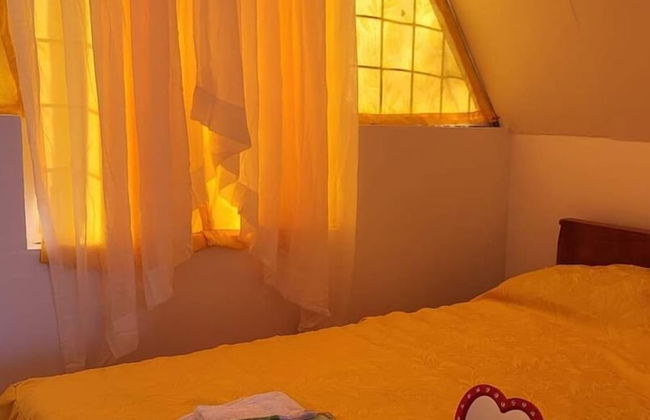 Live N Love - Photo 8