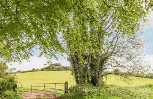 The Coach House at Thorn Farm - Foto 43