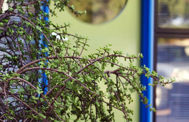 Esperance Island View Apartments - Foto 39