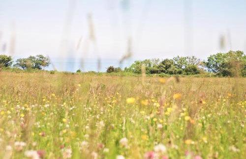 Lantern Cottage - Foto 26