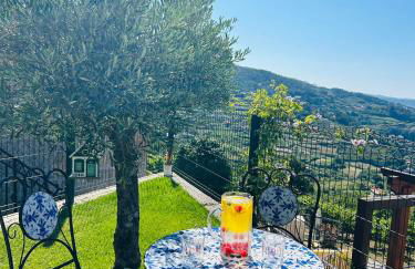 Quinta do Sonho - Foto 20