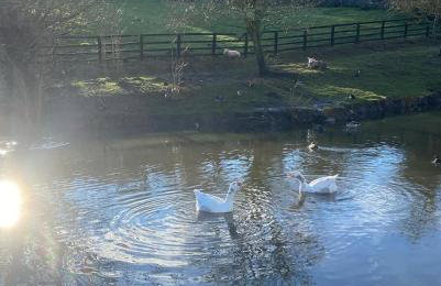 The Annexe - Photo 12