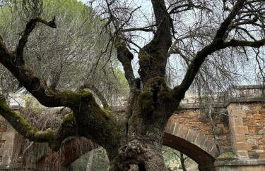 Casa Celia - Foto 24