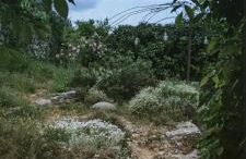 roulotte à la mauvaise herbe - Foto 7