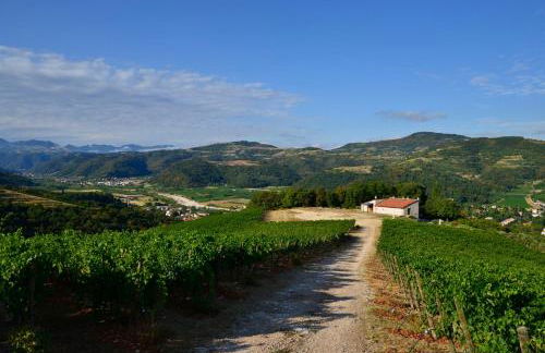 Tenuta Le Cave - Foto 34