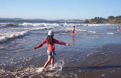 Apartamentos Petit Blau - Foto 30