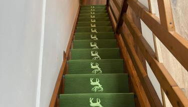 Mandi Mandi in pista - Foto 5