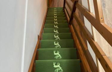 Mandi Mandi in pista - Foto 5