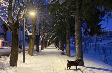 Appartamento immerso nel verde - Foto 21