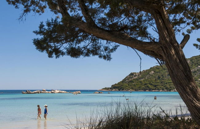 Residence Moby Dick - Foto 24