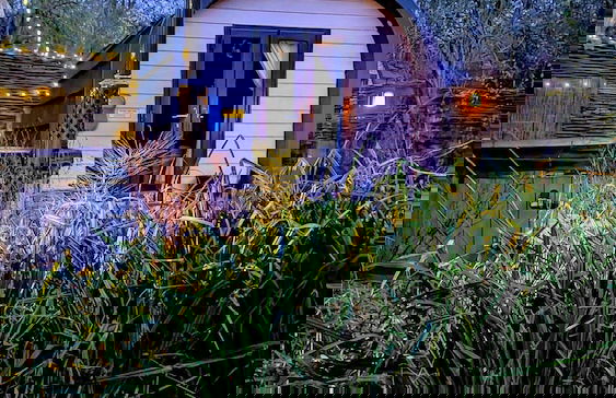 Emlyn's Coppice - Woodland Glamping - Foto 25